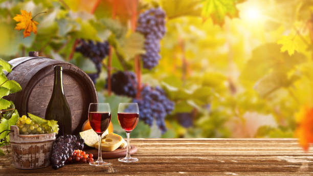 istock Vines with grapes and old cask on vintage wooden table. 1163497753