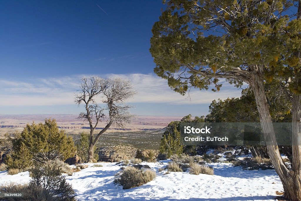 Winter in Grand Canyon - Lizenzfrei Ansicht aus erhöhter Perspektive Stock-Foto