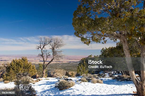 Winter In Grand Canyon Stockfoto und mehr Bilder von Ansicht aus erhöhter Perspektive - Ansicht aus erhöhter Perspektive, Arizona, Baum