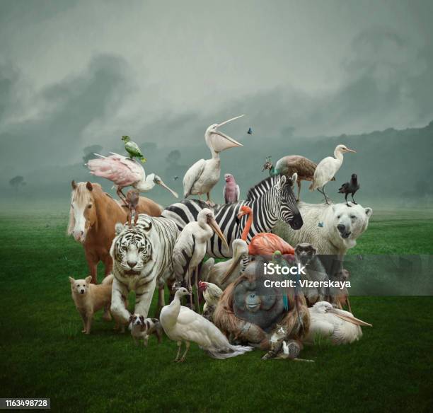 Große Familie Stockfoto und mehr Bilder von Tier - Tier, Tiergruppe, Zoo