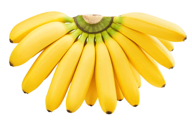 흰색 배경, 클리핑 경로, 전체 피사계 심��도에 고립 된 바나나 무리 - banana bunch yellow healthy lifestyle 뉴스 사진 이미지