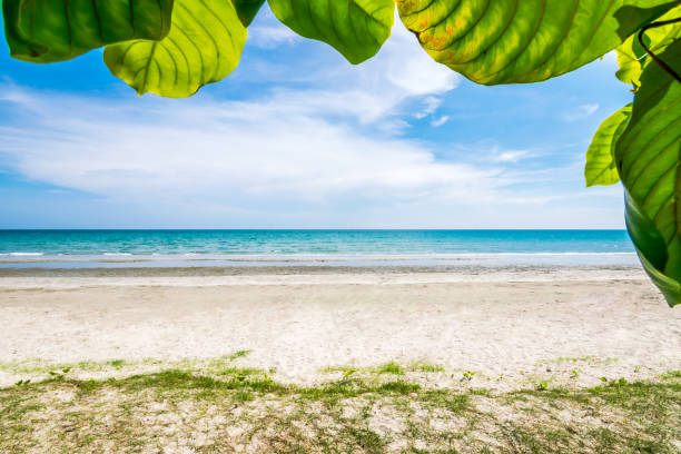 Mae Ram Phueng Beach, the beautiful and quiet for relaxation on the good holiday, is the attractions in Rayong, Thailand. stock photo