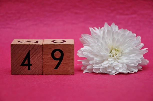 istock Number forty nine with a white aster on a pink background 1163501945