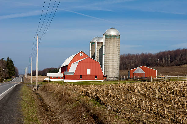 istock Red Barn on a Winter Morning without Snow 116350202