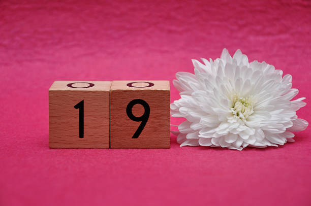 istock Number nineteen with a white aster on a pink background 1163502152