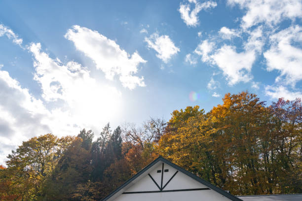 Autumn foliage scenery view, beautiful landscapes. Colorful forest trees in the foreground, and sky in the background