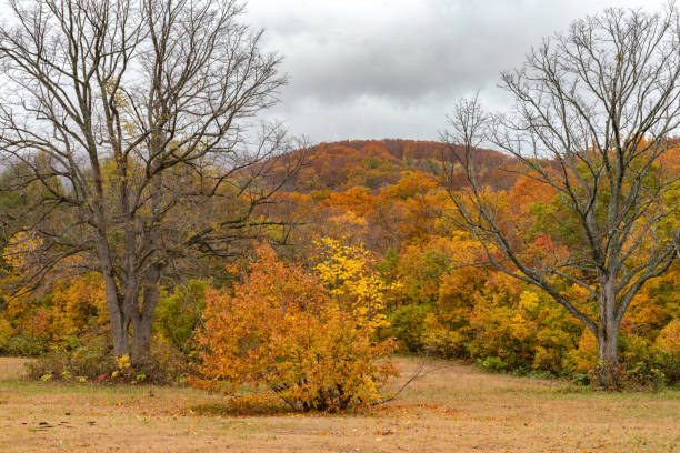 istock Autumn foliage scenery view, beautiful landscapes 1163502573