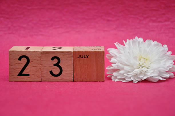 istock 23 July on wooden blocks with a white aster on a pink background 1163503349