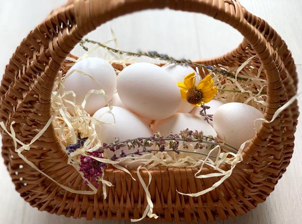 istock Chicken eggs in a basket. Beautiful white eggs. 1163503445