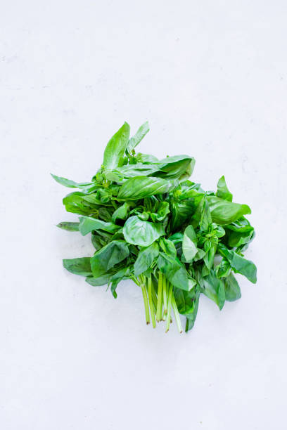 istock Fresh basil leaves on concrete background with copy space 1163504220