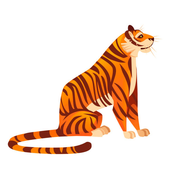 Tiger Sitting Illustrations, Royalty-Free Vector Graphics & Clip Art -  iStock