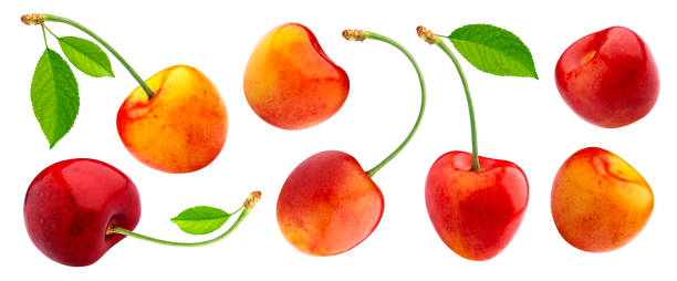 istock Yellow cherries with stems and leaves isolated on white background 1163507276