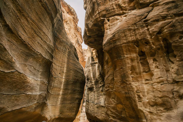 istock The Siq - narrow passage, gorge that leads to ancient Petra 1163509016