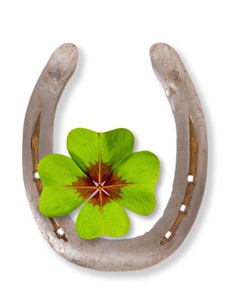 istock horse shoe and clover leaf as talisman 1163514732