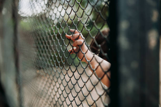 istock Close-Up Of Hand Holding Chainlink Fence 1163514997