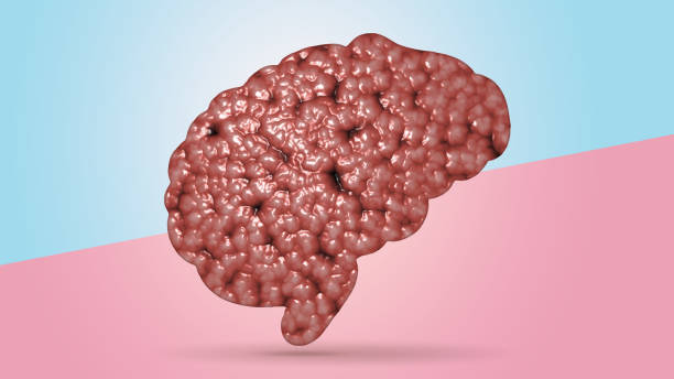 istock simulated realistic brain cell membrane with clipping path die cut on pink blue pastel background 1163515675