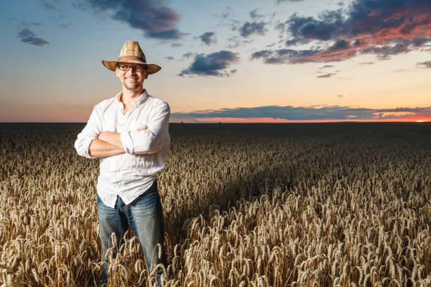 istock Farmer in a straw hat and glasses standing in a ripe wheat field before sunset. 1163517784