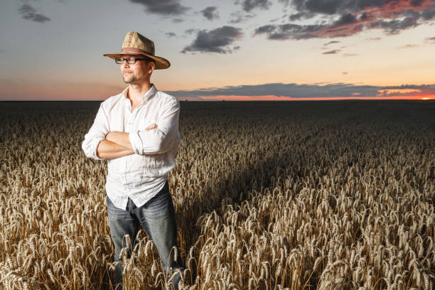 istock Farmer in a straw hat and glasses standing in a ripe wheat field before sunset. 1163518009