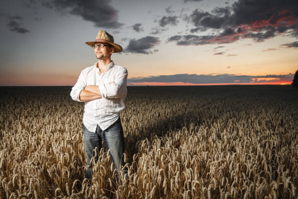 istock Farmer in a straw hat and glasses standing in a ripe wheat field before sunset. 1163518123