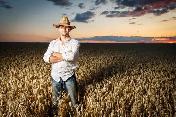 istock Farmer in a straw hat and glasses standing in a ripe wheat field before sunset. 1163518382
