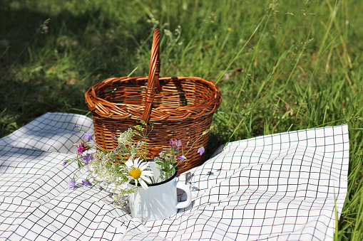 Wicker picnic basket on checkered blanket in sunny day. Enamel mug with wild fowers, bells, cow parsley and daisies. Blurred meadow background, spring, summer outdoor meal, relaxation concept.