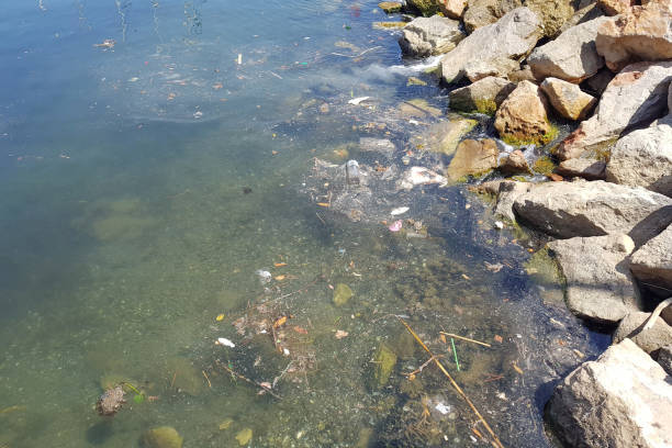 istock Garbage and plastic bag in the coastal sea water 1163519668