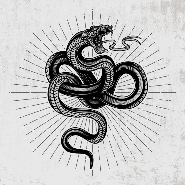 Vector illustration of Snake poster.