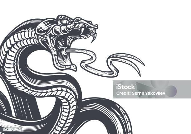 Snake Background Stock Illustration - Download Image Now - Snakeskin, Dragon,  Rattlesnake - iStock