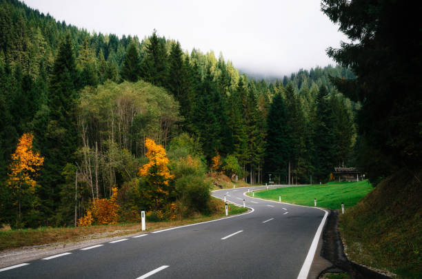 istock Winding road in dense forest in Alps, Austria 1163521118