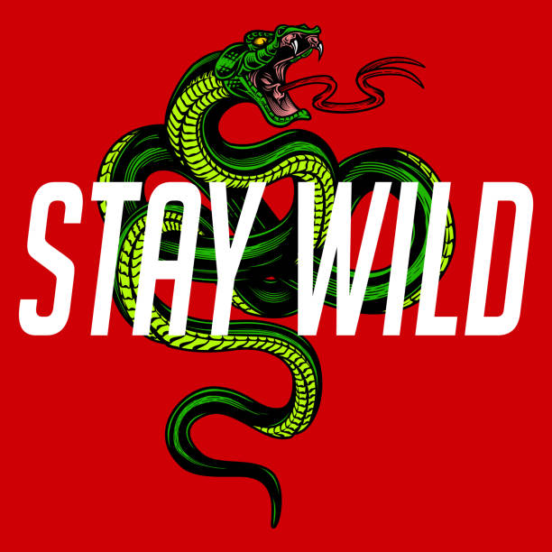 "Stay wild" - snake poster design. Vector hand drawn illustration of snake in engraving technique on red background. Modern fashionable tee shirt print or label design. venom symbol stock illustrations