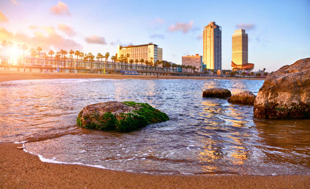 istock Barcelona, Spain. Panoramic view at Barceloneta beach 1163528447