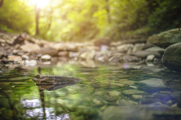 추상적 인 자연 배경 - spring stream landscape boulder 뉴스 사진 이미지