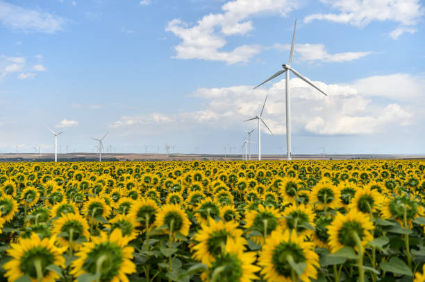 istock Wind turbines in a wind farm with a dramatic stormy sky in the background 1163532998