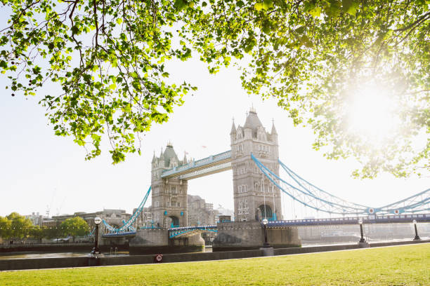 istock Tower Bridge in London at sunrise 1163533148