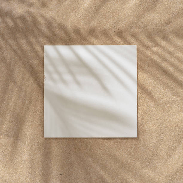 istock Summer beach day scene with tropical palms shadow on a sand background with paper frame copy space. 1163533429