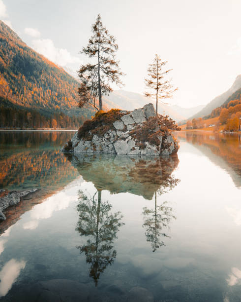 호수 힌터제, 일몰, 바이에른, 독일 - landscape scenics water germany 뉴스 사진 이미지