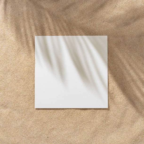 istock Summer beach day scene with tropical palms shadow on a sand background with paper frame copy space. 1163533718