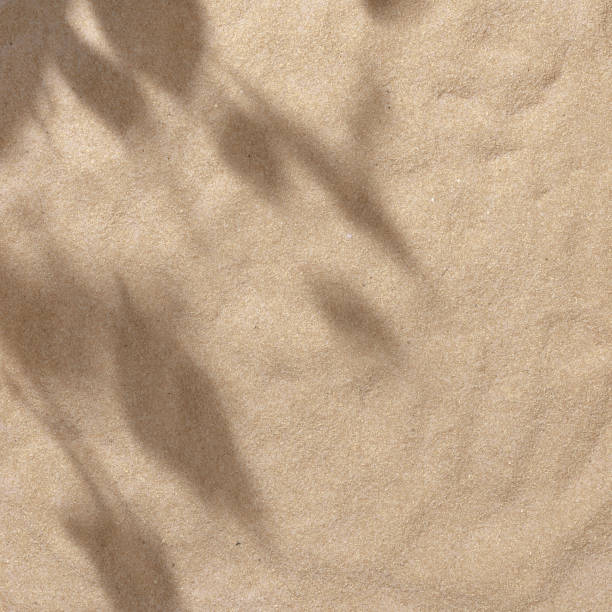 istock Summer beach day scene with tropical palms shadow on a sand background. 1163533805
