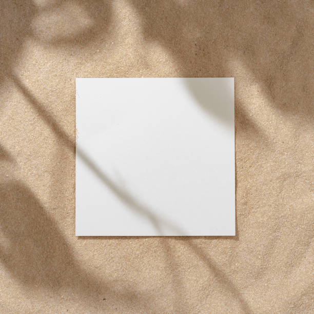 istock Summer beach day scene with tropical palms shadow on a sand background with paper frame copy space. 1163533824