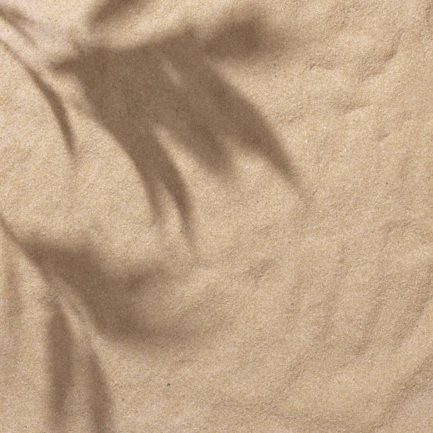 istock Summer beach day scene with tropical palms shadow on a sand background. 1163534746