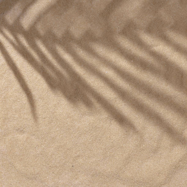 istock Summer beach day scene with tropical palms shadow on a sand background. 1163534845