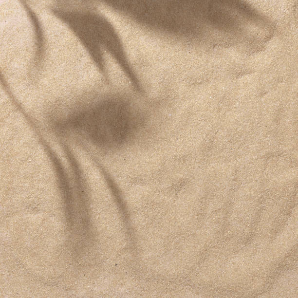 istock Summer beach day scene with tropical palms shadow on a sand background. 1163534847