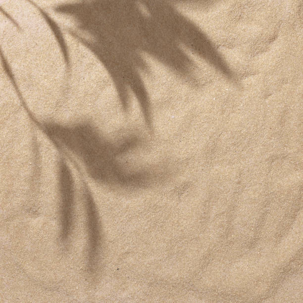 istock Summer beach day scene with tropical palms shadow on a sand background. 1163534904
