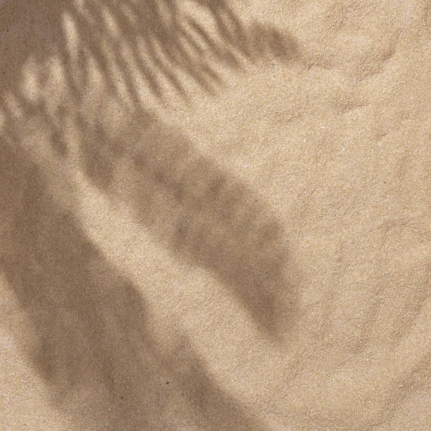 istock Summer beach day scene with tropical palms shadow on a sand background. 1163534983