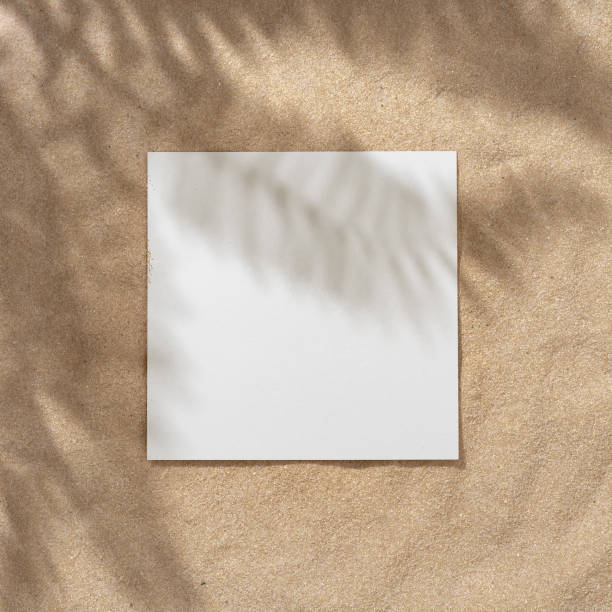 istock Summer beach day scene with tropical palms shadow on a sand background with paper frame copy space. 1163535063