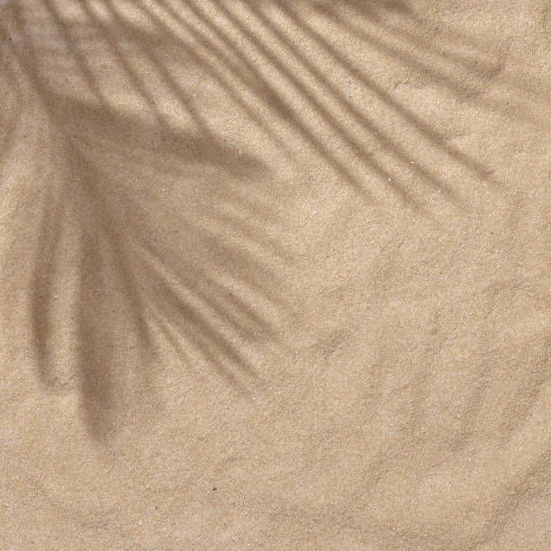 istock Summer beach day scene with tropical palms shadow on a sand background. 1163535178