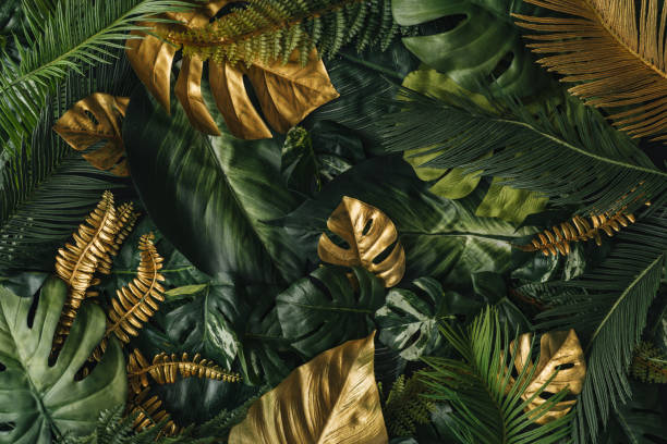 fondo creativo de la naturaleza. hojas de palma tropicales doradas y verdes. - gold leaf fotografías e imágenes de stock