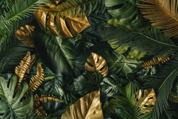 background naturalistico creativo. foglie di palma tropicale oro e verde. - foglia di palmo foto e immagini stock