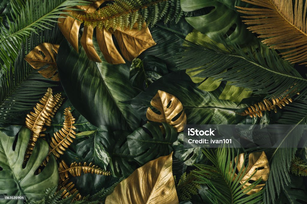 Creative nature background. Gold and green tropical palm leaves. Minimal summer abstract jungle or forest pattern. Gold - Metal Stock Photo