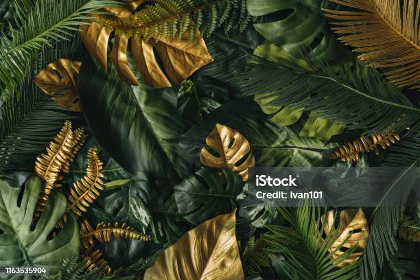 Творческий Фон Природы Золотые И Зеленые Тропические Пальмовые Листья — стоковые фотографии и другие картинки Золото